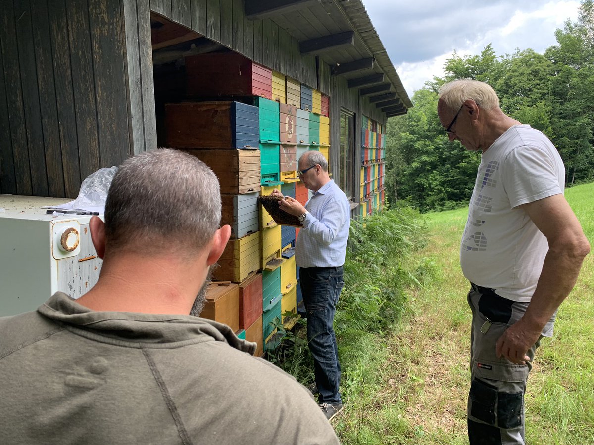 Collecting drones from beehives belonging to queen producer Ladislav Bozelj in Dragovsek, Slovenia.  This work is part of a honey bee germplasm collecting effort for the Carniolan honey bee, a subspecies adapted to cool winter conditions such as occurs in the Pacific Northwest.