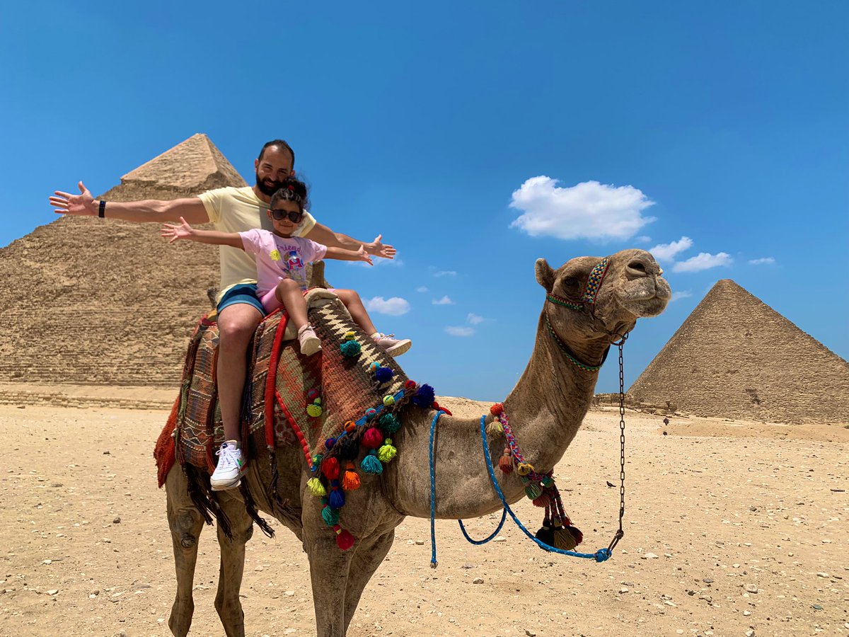 GM! Egypt was amazing. I’ll go back soon