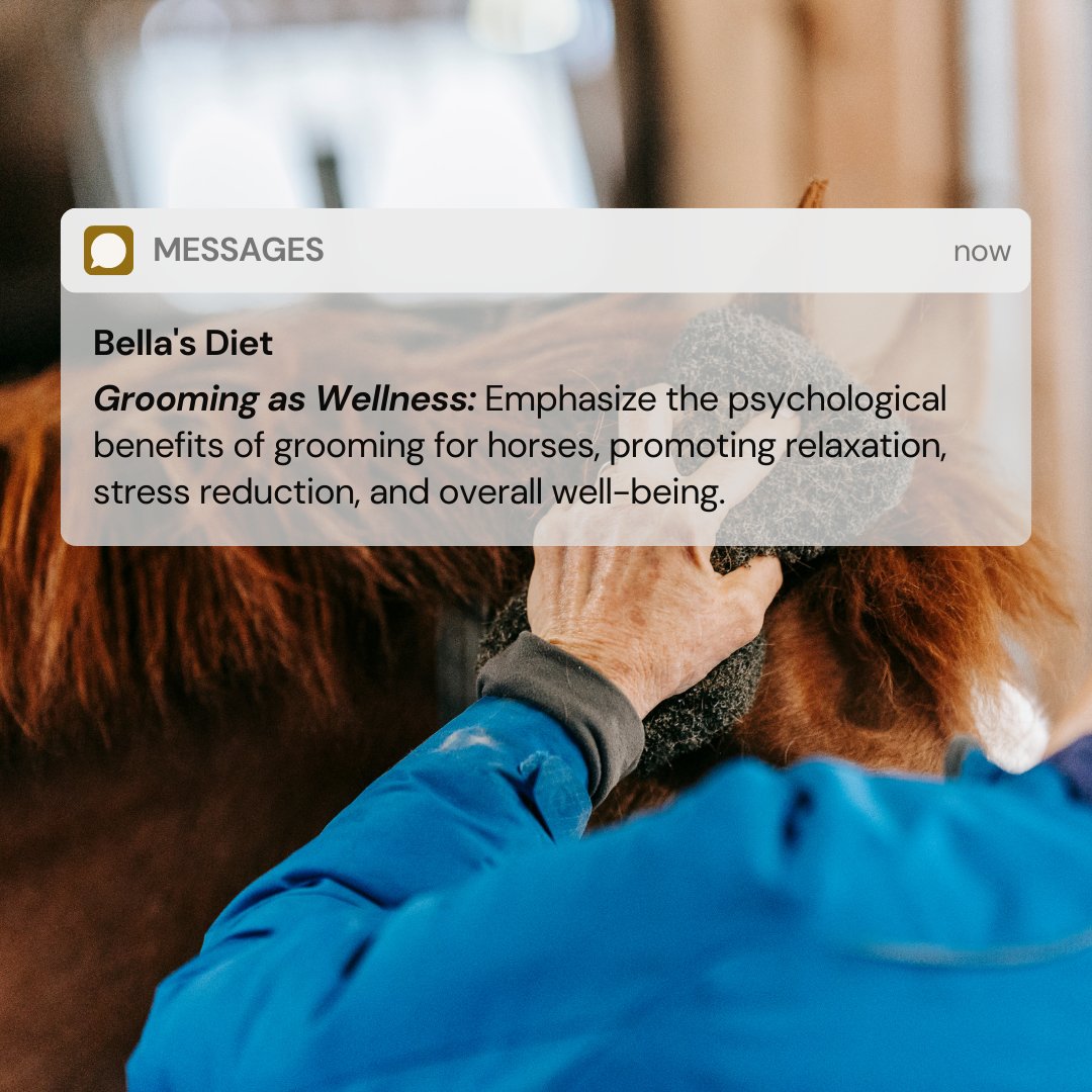 🌿 Grooming as Wellness 🌿 Did you know that grooming is more than just physical care?#horsecaretips #groomingaswellness #horsecare #equinewellbeing #stressreduction
Pamper your horse and enhance the bond you share. Shop the best Horse Grooming and Wellness products Now! 🛍️🔗