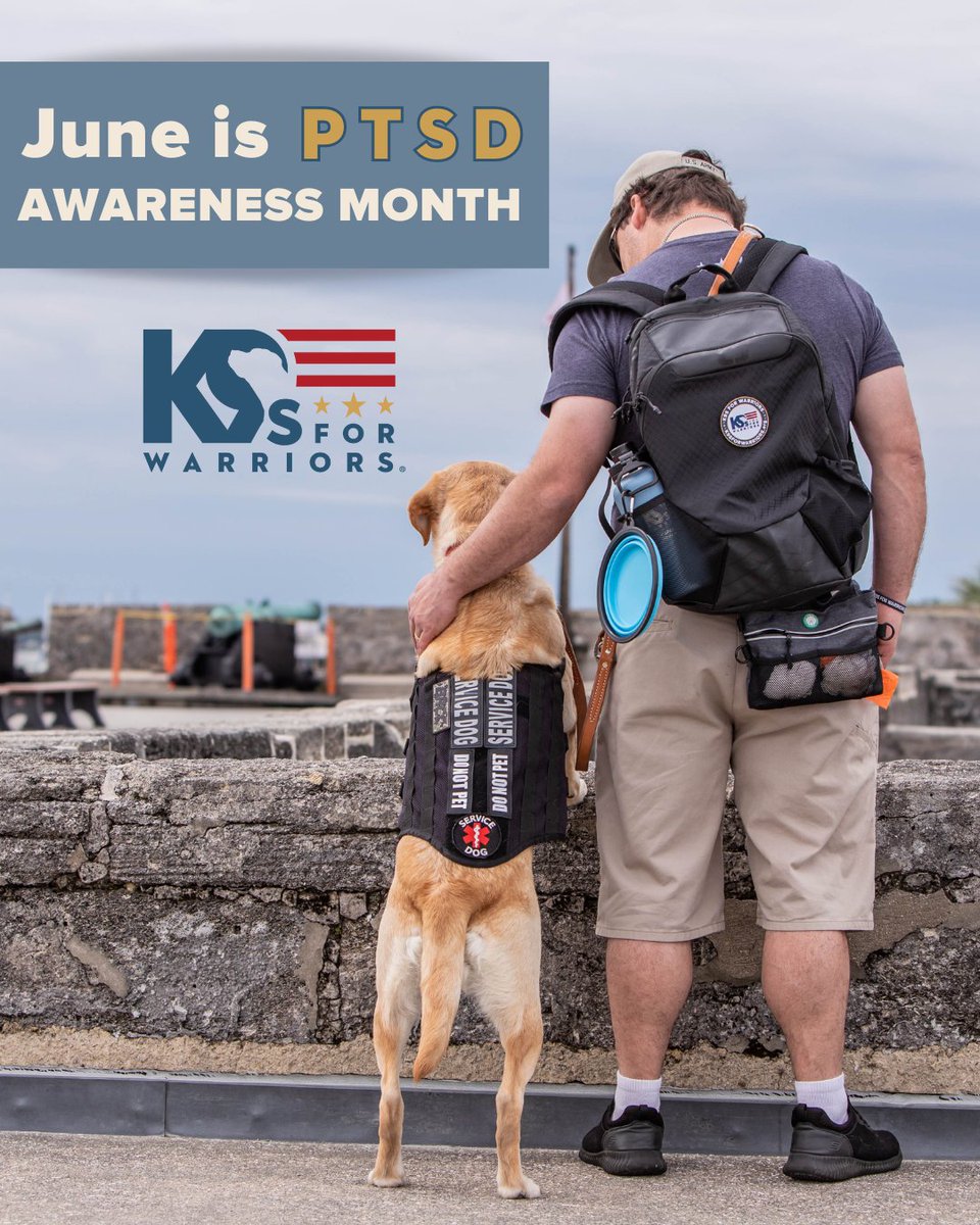 June is #PTSDAwarenessMonth.

What is PTSD?
Post-traumatic stress disorder (PTSD) develops in some people who have experienced a shocking, scary, or dangerous event.

Who gets PTSD?
Anyone can develop PTSD, and there are resources like K9s For Warriors to help.