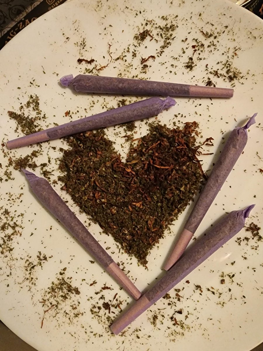 Stoners 🍁 tweet media
