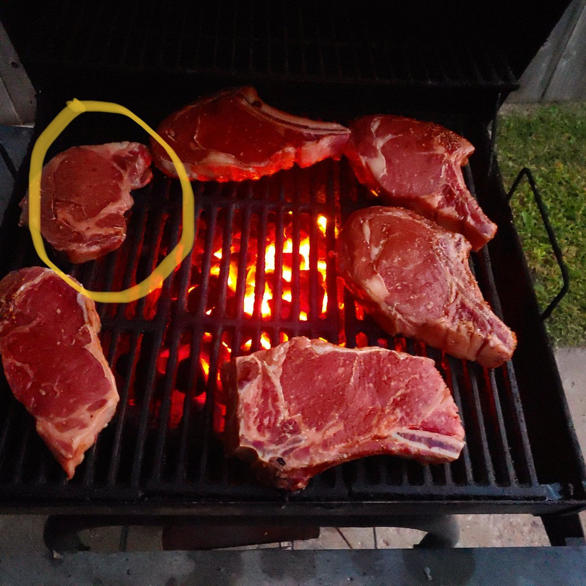 Catturd ™ on Twitter "Why does this steak look like President Trump? 😂"