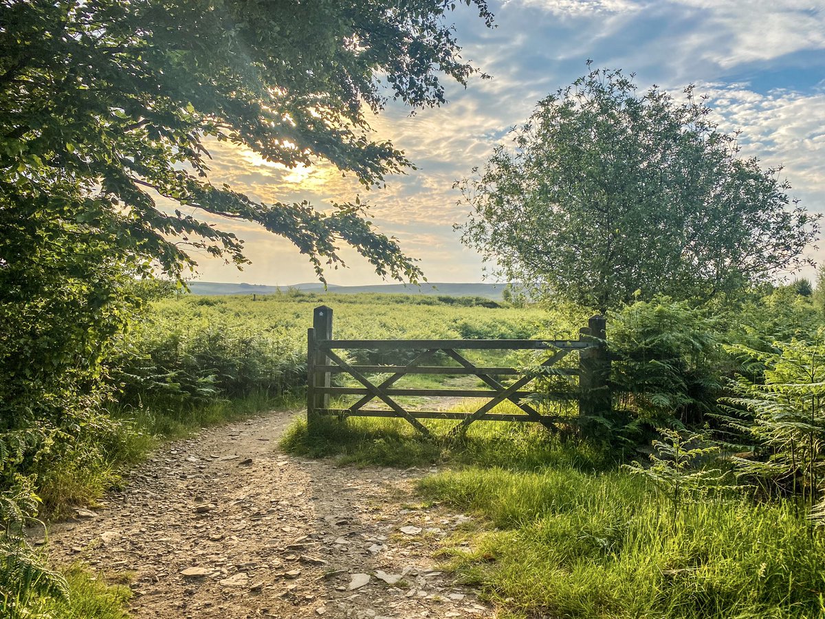 BrianParry68's tweet photo. Another scorcher today so early start for a peaceful walk over #HealeyNab and then round #Anglezarke reservoir #Lancashire #ThePhotoHour #Chorley https://t.co/SZE8SAQZVb