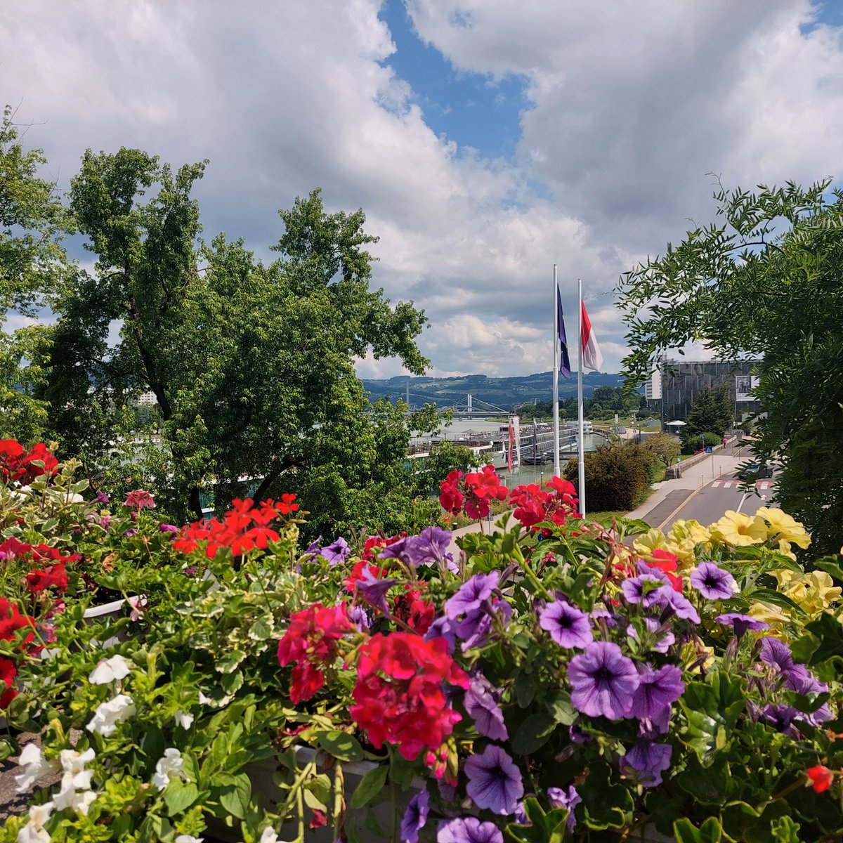 Robert T tweet media