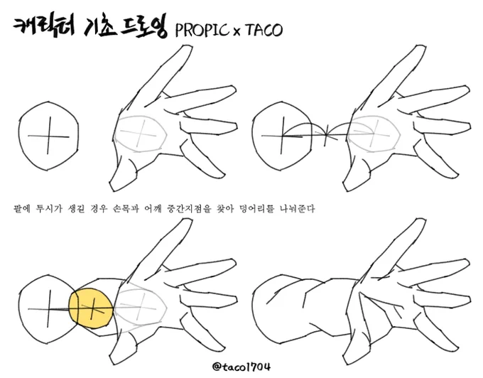 팔에 투시가 생기면 손목과 어깨 중간지점을 찾아 덩어리를 나눈다