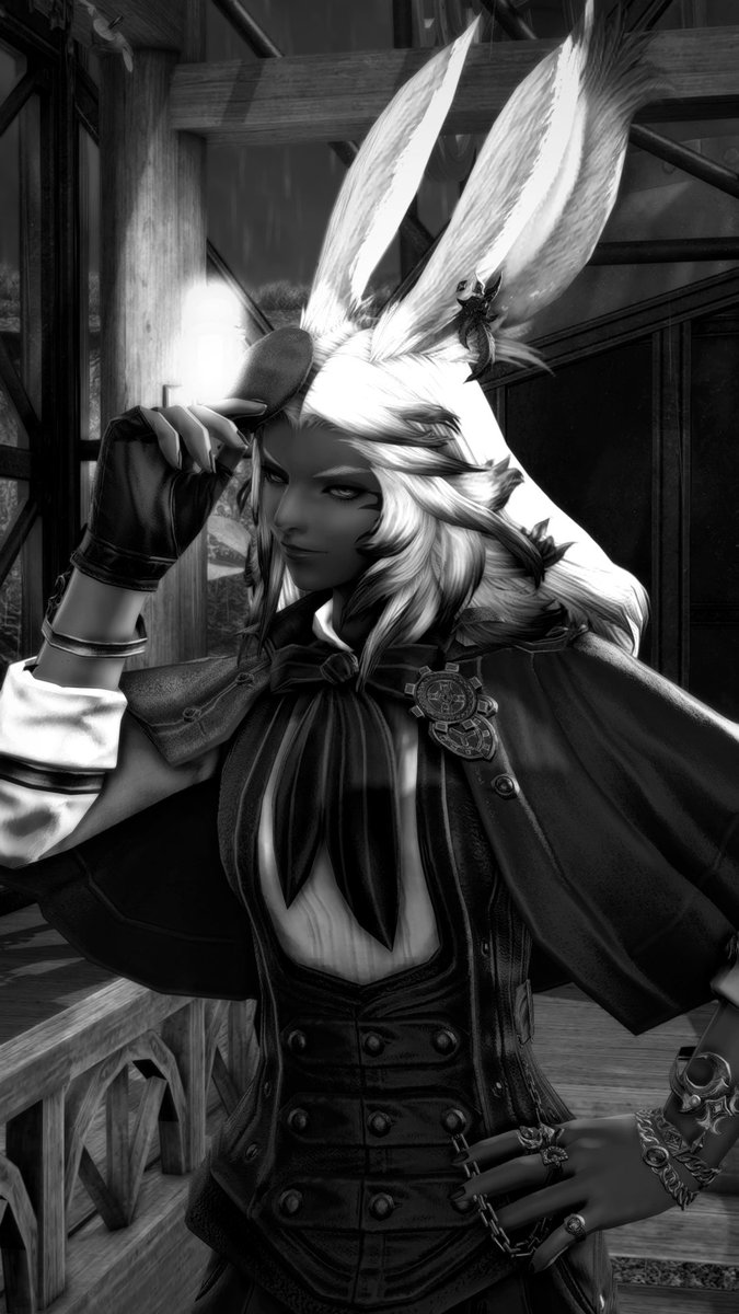 Noir
#GPOSERS #ReShade #Viera #おはウサ #ヴィエラ #NenekoColorS