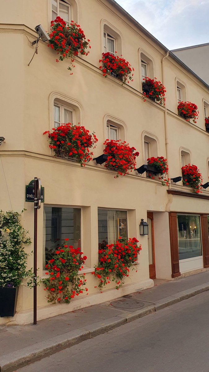 Les petits balcons 🌹🌿🌹🌿🌹🌿🌹🌿🌹🌿🌹
📸 rue d'Héliopolis
#Paris17