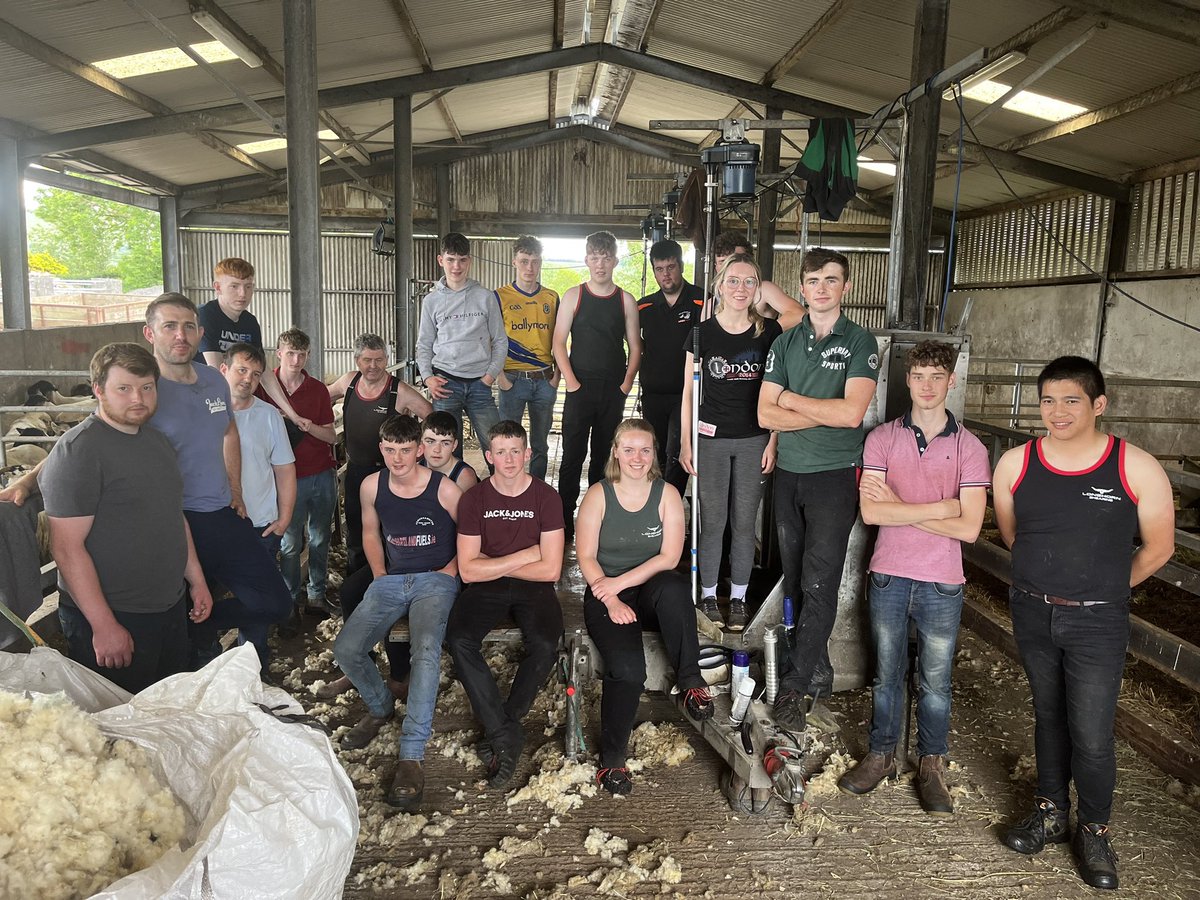 Shearing awards for all 18 attendees today in #Sligo, thanks George Graham for another great training event #SheepShearing #PathwaytoGold