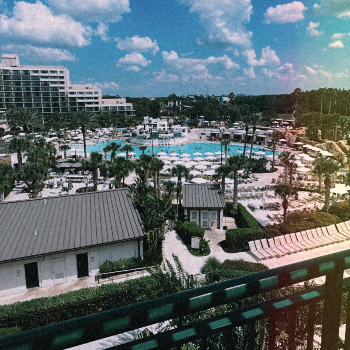 LynneaPhillips's tweet image. Hello, Orlando! 🌴 Checking in for my first @CollSportsComm Convention. #CSCUnite23