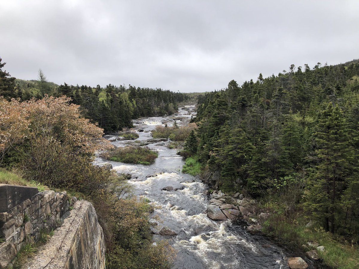 Great morning for #giverontheriver in support of <a href="/ManuelsRiver/">Manuels River</a>! Thank you to all of our volunteers and racers! <a href="/leahwhite_td/">Leah White</a> <a href="/LafitteBev/">Bev Lafitte</a> <a href="/TD_Canada/">TD (Canada)</a> <a href="/MuirChris_TD/">Chris Muir</a>