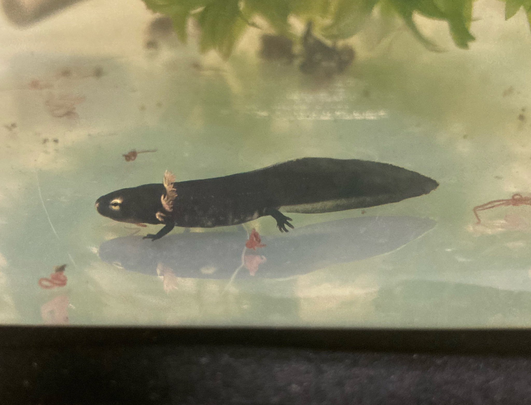 神はすべての悪を叱責されるということでしょうか？