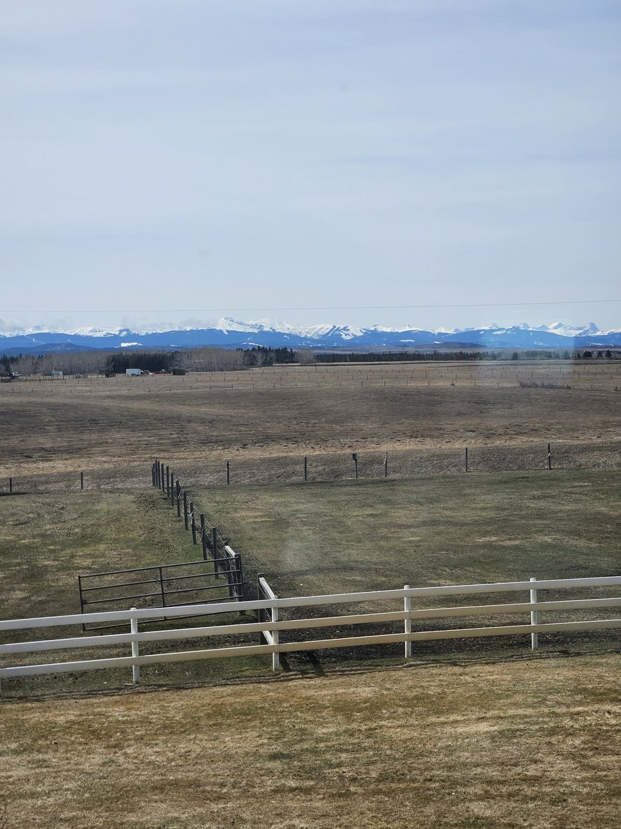 Not great! There's supposed to be mountains out there. This is just west of the city in Springbank. AQHI currently at a 9. #YYC #AbFire