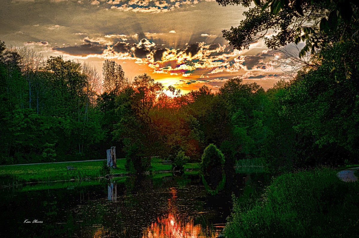 'Brilliance'
Sunset at Jackson Park pond

©2023 Ken Oliver

#nature #sunset #pond #trees #bush #grass #plants