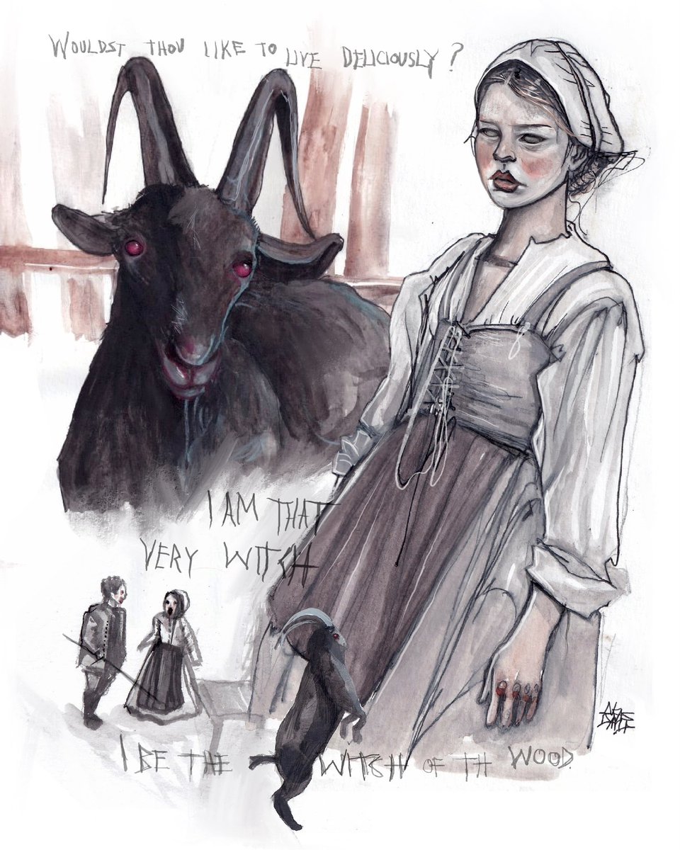 the vvitch