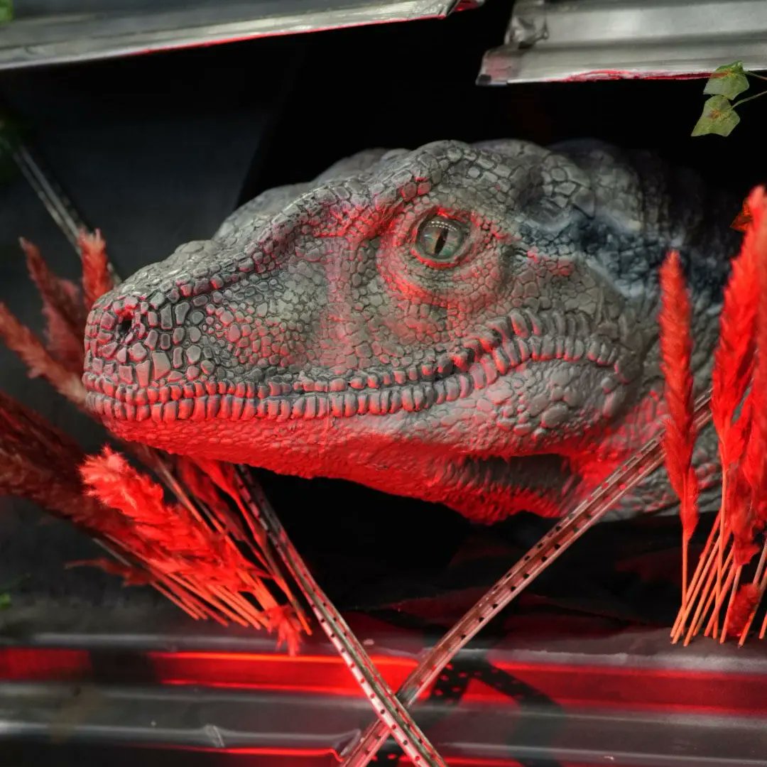 DinoshopNerds's tweet photo. Monster ist ein relativer Begriff, für einen Vogel ist eine Katze ein Monster. Wir sind es nur gewohnt, die Katze zu sein.
Unsere 3D gedruckte Blue. Grundiert, lackiert, bepinselt, gedrybrushed und geairbrushed... 😄
#velociraptor
#dinosaurs
#3dprint
#jurassicpark
#jurassicworld https://t.co/OzhO74dMFy