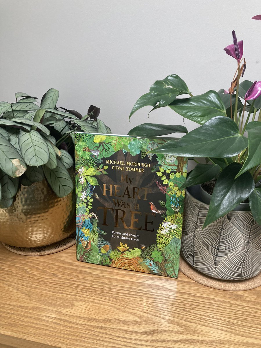 Molly6063's tweet photo. In love with this beautiful book which my granddaughter has ‘bought’ with a little help from Nanny for Grandad for Fathers Day 😉😊@MichaelMorpugo @yuvalzommer https://t.co/oekbKvKOHN