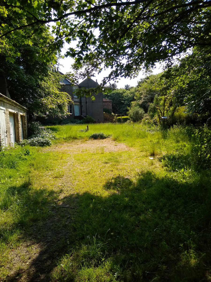 Sarah Keetley tweet media