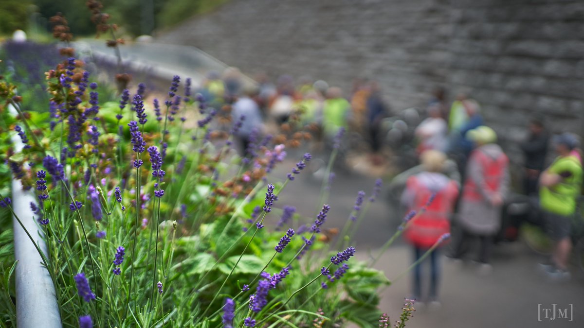 Lee2Sea: A Unique Multipurpose Active Travel Route tweet media