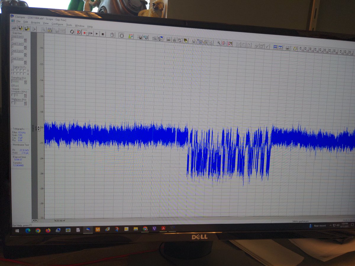 Dr. Elijah Zorro Ullman tweet media