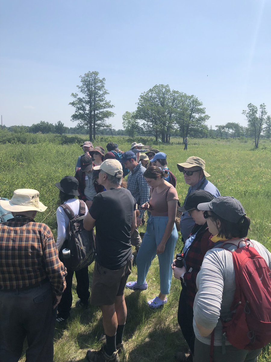 CdnNatureSci's tweet photo. A day in tall grass prairie is a day we’ll spent.
Great tour of the @NCC_CNC Tall Gras Prairie Preserve. So many threatened species that will make this a Key Biodiversity Area @KBACanada @CSEE_SCEEmtgs https://t.co/pqHqsgdV4f