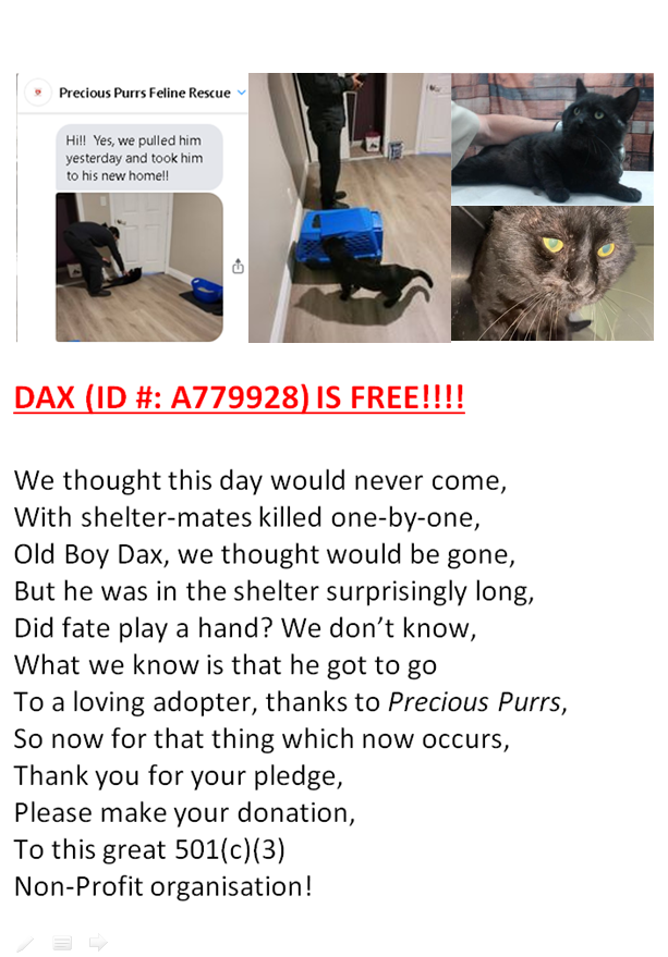 Uniquepoems4u's tweet image. 🥳🎉DAX (DEVORE) CRIES FREEDOM!!!🎉🥳

#Devore #SanBernardinoCA #Cats #AdoptDontShop #Rescue #pledge2savealife #CatsOfTwitter #CatsOnTwitter #pledge #Adopt #Foster #Anipals #BlackCat

Donation Page:
 …ouspurrsfelinerescue.godaddysites.com/support-our-mi…

Venmo: @KittiePurrs
PayPal: preciouspurrsfr@gmail.com