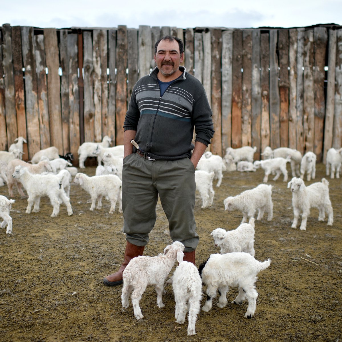 🐐250 goats 🐄18 cows +🐔a few chickens live on Gustavo’s farm. Here in remote rural #Argentina, lack of telecommunications was once a major issue. But thanks to IFAD, a new antenna has turned things around, connecting Gustavo to other producers and to his family.