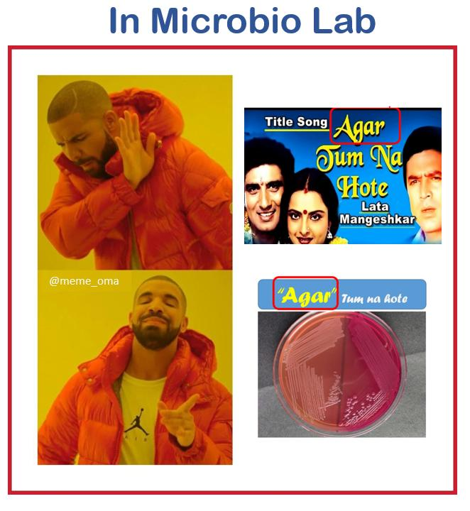 meme__oma's tweet photo. 😂
#meme_oma #microbiolab https://t.co/uXXKF4x9Xl