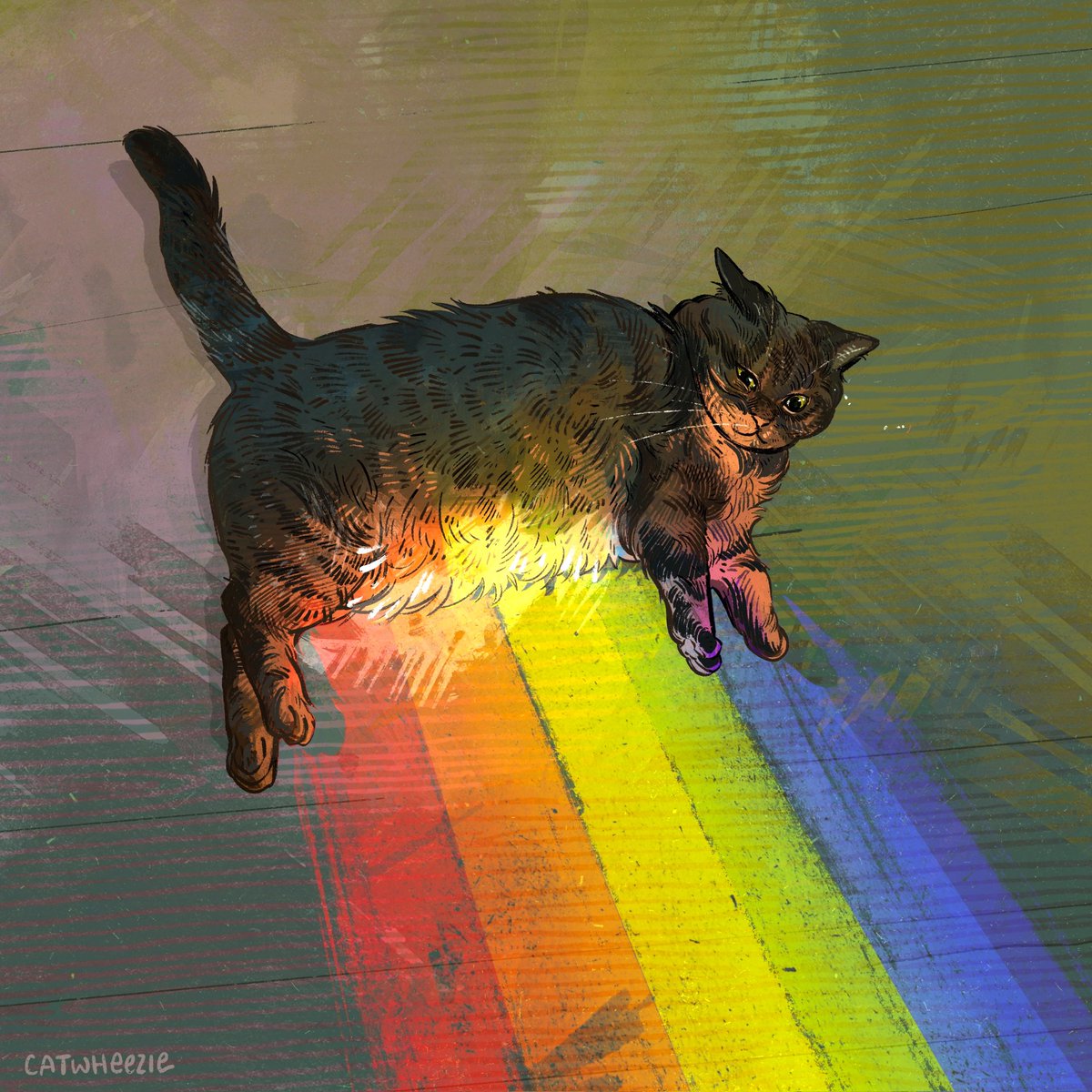 catabru's tweet photo. Your last saved photo is your sexuality https://t.co/kNgS9d6fv6