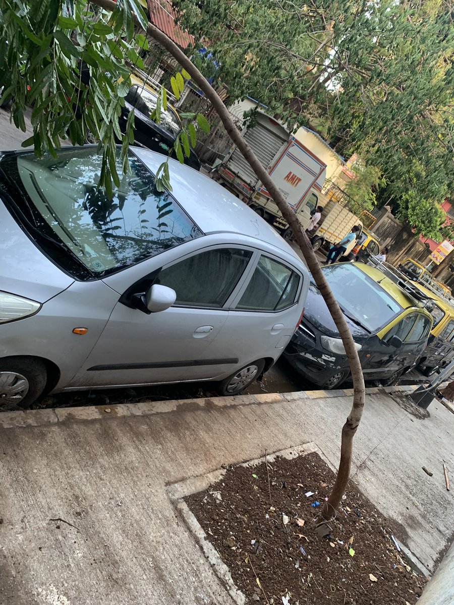 MCAALM1's tweet photo. @mybmcWardE @mybmcGardens plz give support to this tree ASAP, it is not uprooted but bent due to heavy winds. Location: outside Wockardth Hospital rear gate at Motlibai street, Agripada. https://t.co/gOgf4E5vDw