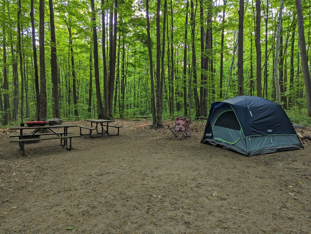 WAISItravelblog's tweet photo. Looking for an @OntarioParks to visit this summer?
Awenda has it ALL!
π³7 Hiking Trails - 1 EPIC accessible boardwalk
βΊοΈDreamy Campsites
β¨Events and programs
Discover all the fun activities this #Ontario park has to offer π
https://t.co/vyoQqhnZN0 #OPpartner #Findyourselfhere https://t.co/mlCdNdcmWn