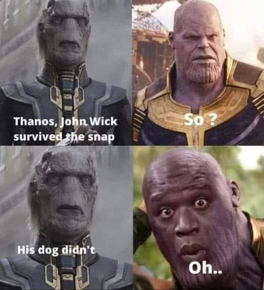 VingTroiSeize's tweet photo. Wow! 😱

#JohnWick #JohnWick1 #JohnWick2 #JohnWick3 #JohnWick4 #JohnWicksDog #Thanos https://t.co/ZGHwcxVvt7