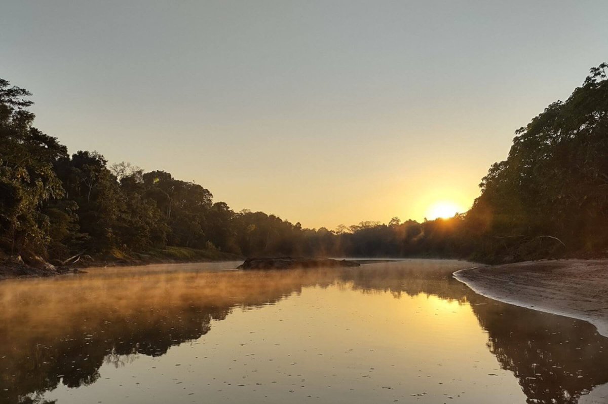 Ojo_Publico's tweet photo. #TerritorioAmazonas 🌳La iniciativa de @Perupetrosa que modifica la Ley de áreas naturales protegidas pone en riesgo a los parques nacionales del Manu y el Bahuaja Sonene. 🧵

👉 https://t.co/ejcqn87z7Y https://t.co/4jm78kd5A6