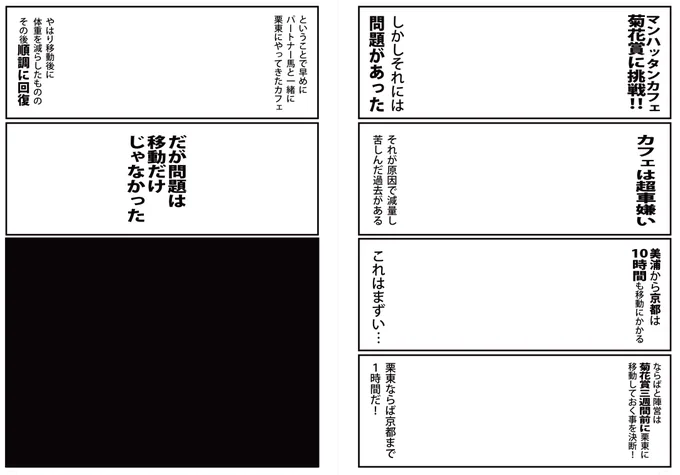 菊花賞に挑むカフェに起きた問題とは 多分明日投稿!