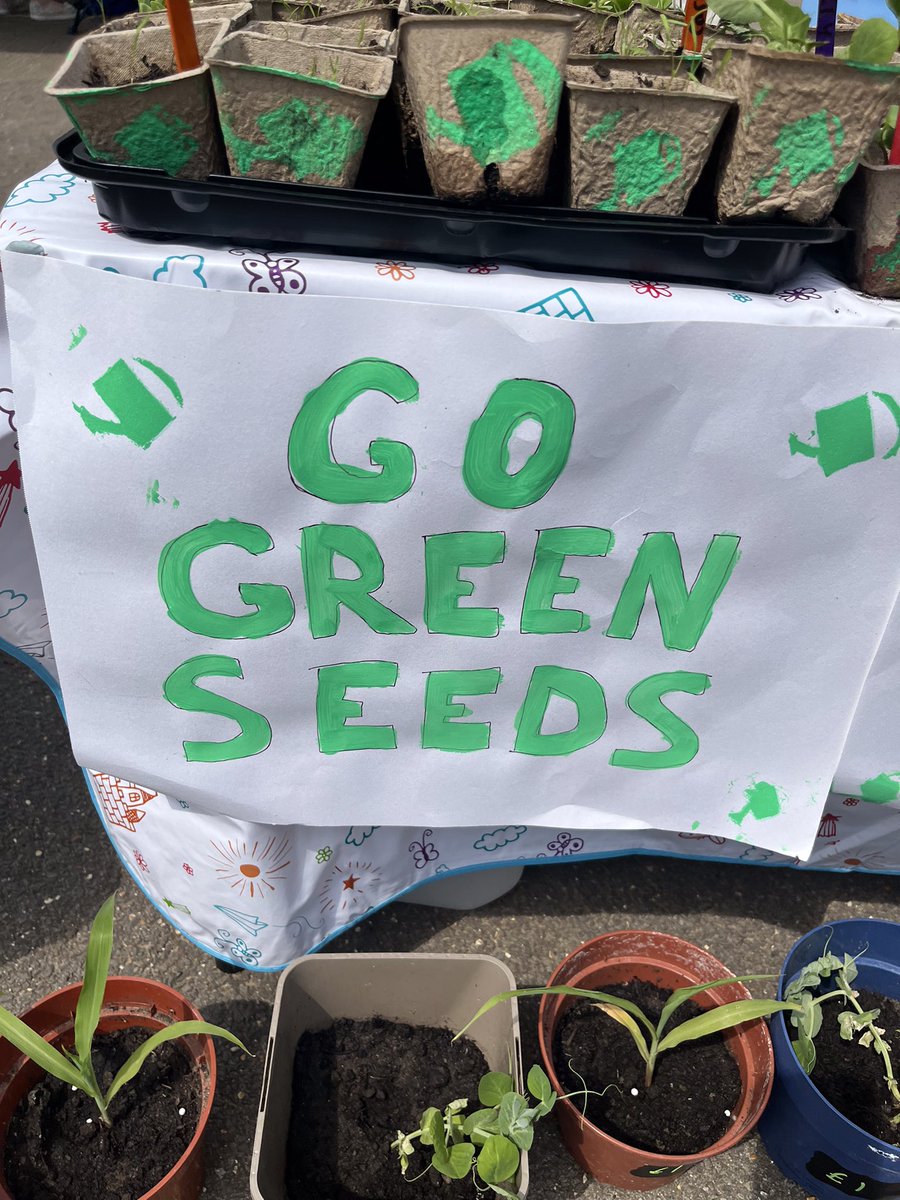 LEOforestschool's tweet photo. So lovely to see Dylan @ManorParkSchSM1 this morning at the LEO Children’s Market, he has grown all these lovely plants from seeds. What an amazing achievement well done and what an entrepreneur.🌱 https://t.co/PUZZgggLPr