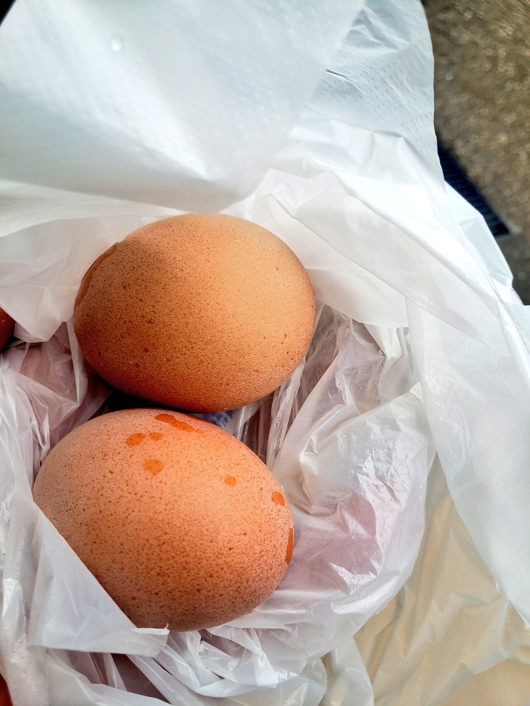 ipaka_'s tweet image. 平湯のここの🥚好き