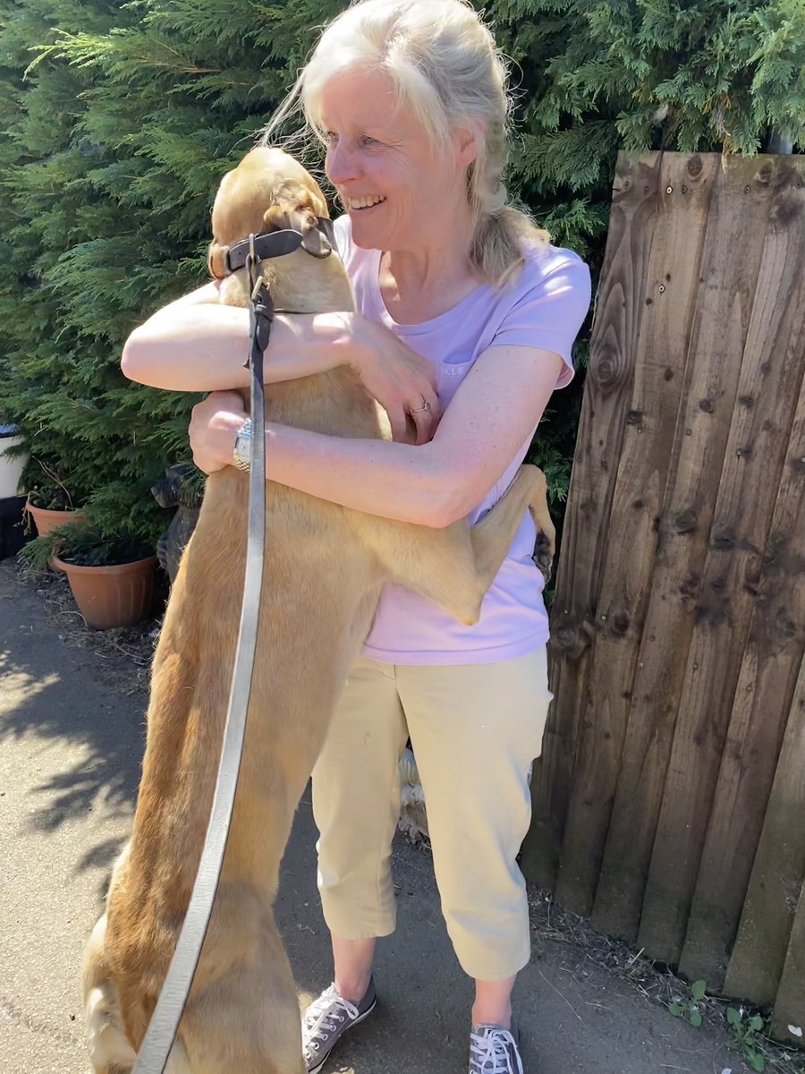 <a href="/RPGreyhounds/">@RPGreyhounds</a> can we give a big shout out to one of my favourite humans <a href="/GailMay1/">Gail May</a> for being such an amazing 🤩 fundraiser &amp; ambassador for my retired pals 👏🫶💪