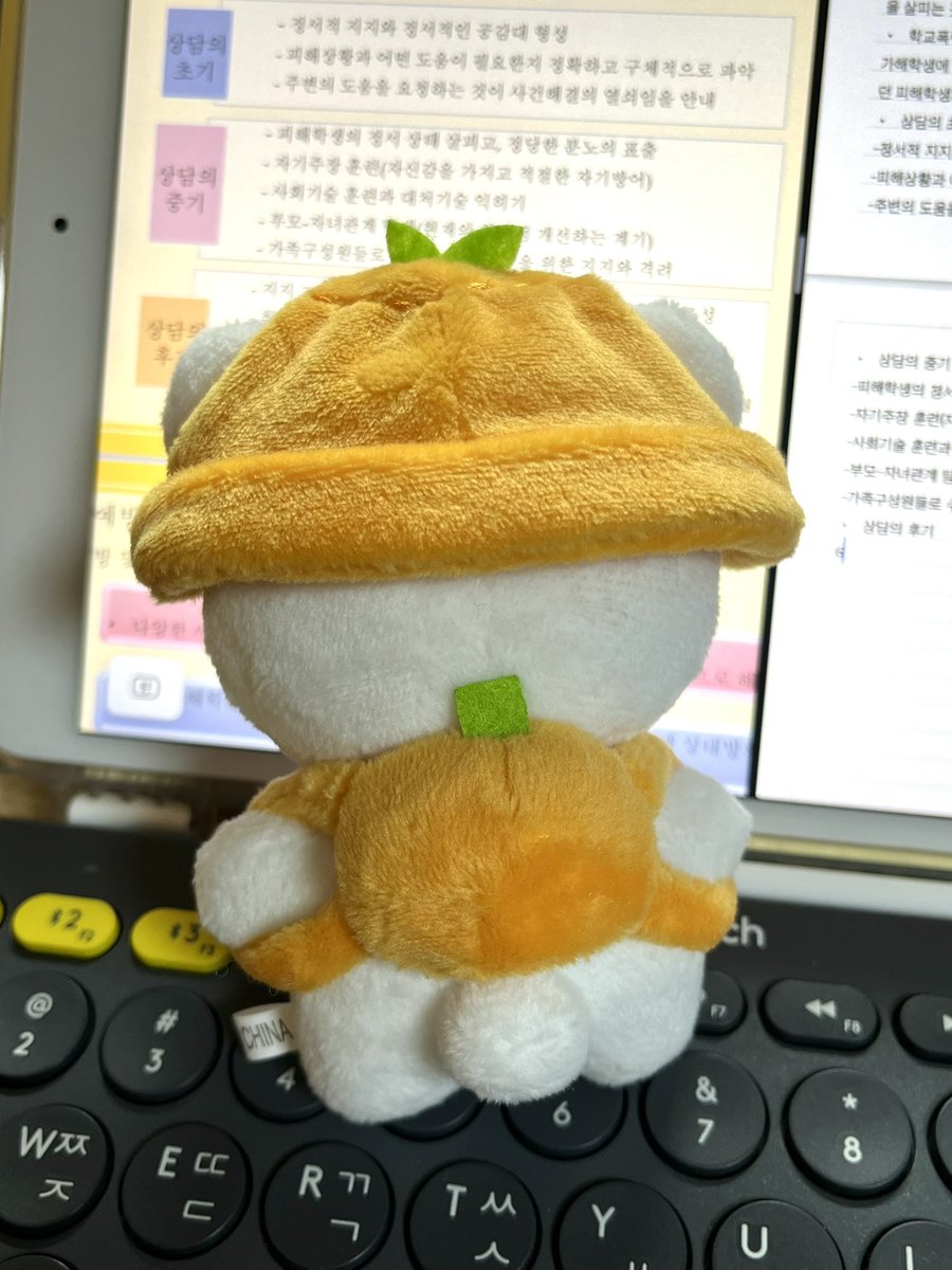 #부베어해
공부 방해하는 뽀쨕 승과니 . . 🧡🍊

1월달에 주문한 귤 부베어 도착 기념으로 3개월만에 등장한 공삼씨 - 𖤐