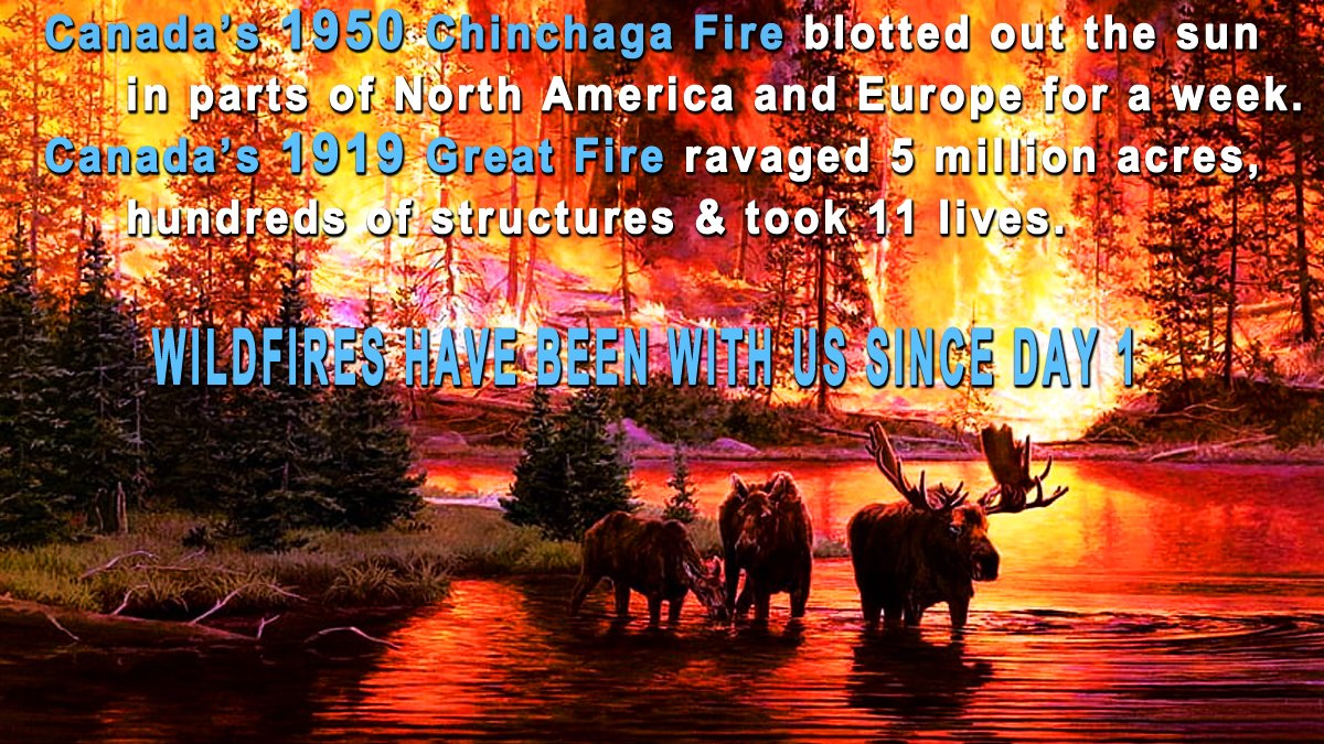 #Canada #WildFires are not #ClimateChange:
From #LifeMagazine, 1970: “Scientists have solid evidence to show that IN A DECADE, urban dwellers may have to wear GAS MASKS to survive #AirPollution. By 1985 air pollution will have REDUCED THE SUNLIGHT reaching earth BY ONE HALF.”