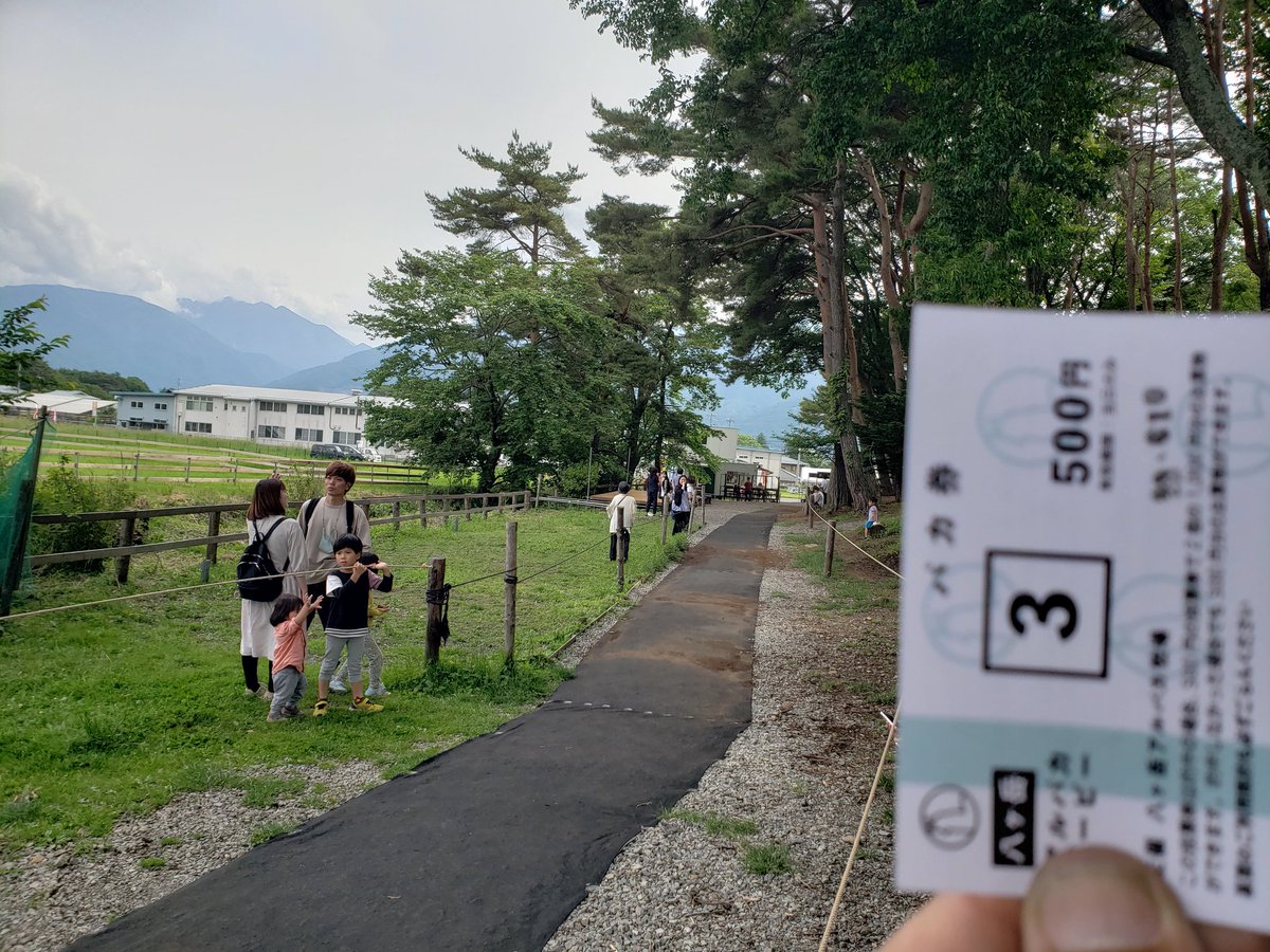 ipaka_'s tweet image. 何この可愛い生き物（アルパカ）