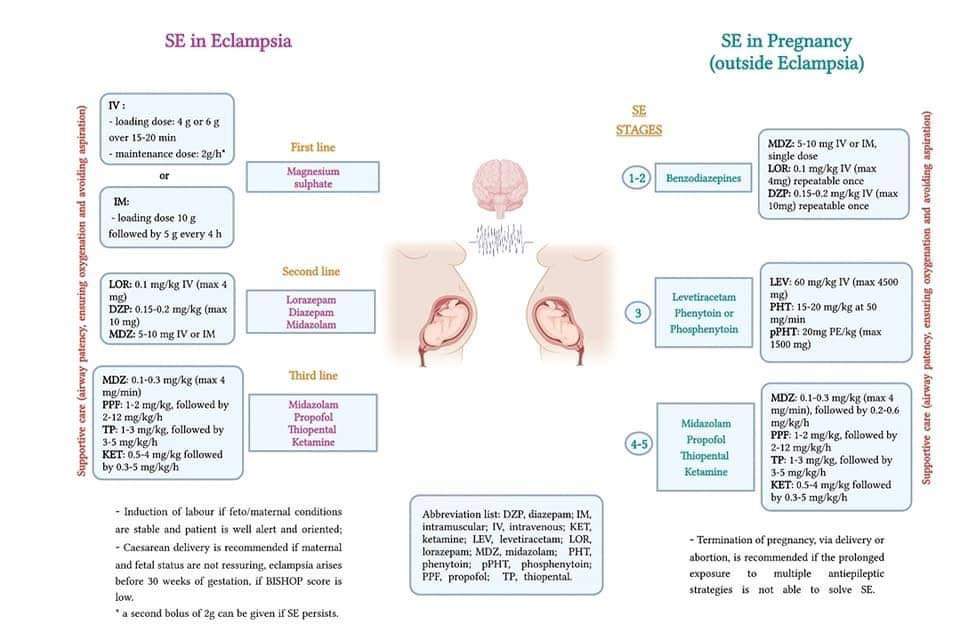 LeslieMegom's tweet photo. 💥🤰🏻¿Como debemos tratar el Estado epiléptico en  el embarazo?: Consideraciones clinicas, interacciones etc...📜👩🏻‍⚕️👨🏻‍⚕️.          
👇👇👇👇👇   https://t.co/GPus5EvCzG       
👇👇👇👇👇https://t.co/tBHgGDOvcg https://t.co/KmPbP3GxEA