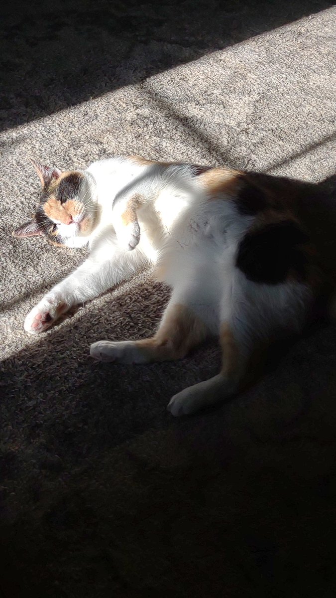 It's that kind of Sunday