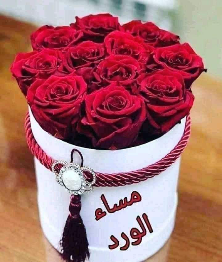 zeza_81's tweet photo. @ataghrid222 مسا الورد والياسمين ياروحي https://t.co/qXIaUM0ERp
