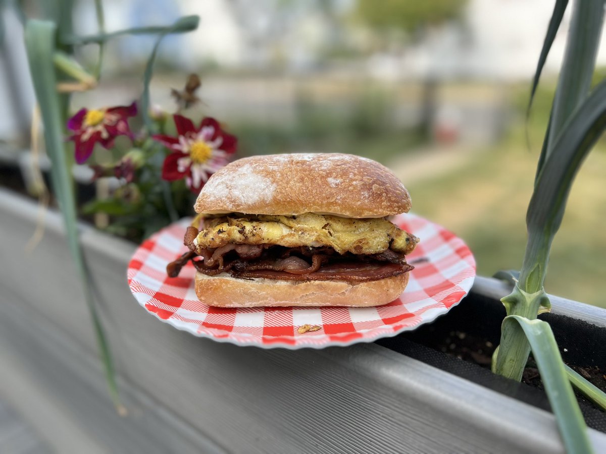 RedPieWhitePie's tweet photo. In honor of this weeks upcoming physical a bacon egg &amp; cheese on a roll before I get my cholesterol checked.
.
.
#pizza #redpiewhitepie #newjersey #cooking #drinking #goodfood #food #eating #foodie #foodlover #breakfast #breakfastsandwich #cheese #egg #bacon #cookingwithcooper https://t.co/co7i67xm7g