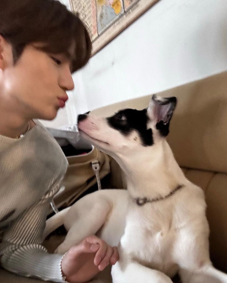 이왜진
오빠한테서 자꾸 핀터레스트자아< 발현 할때마다 너무너무 힘들음