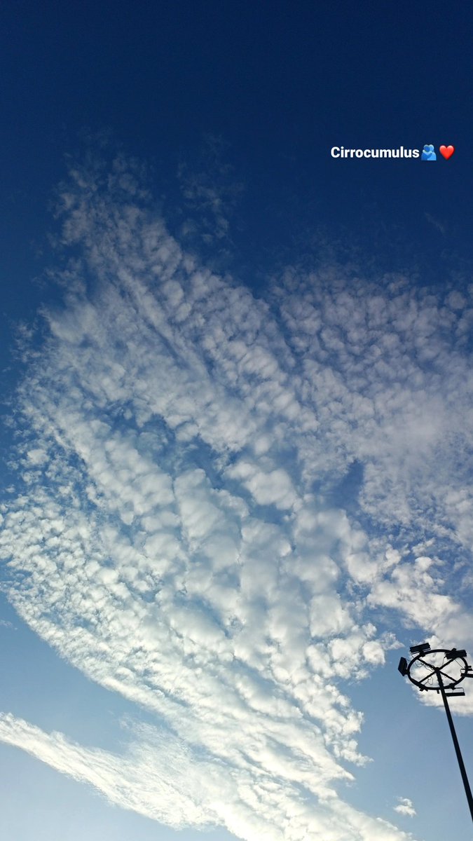 SandraSundar_'s tweet photo. Cirrocumulus❤️🫂 https://t.co/OT1sRIfztJ
