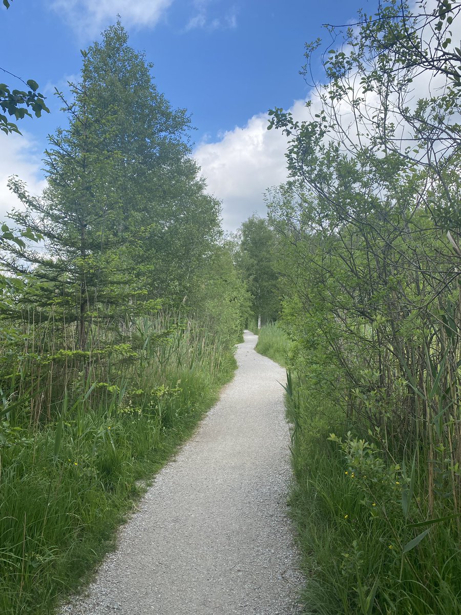 #Bavaria at its best! Walk around Staffelsee before the masses arrive, mesmerized by the abundance of wild flowers! #outdoor #bayern #hiking