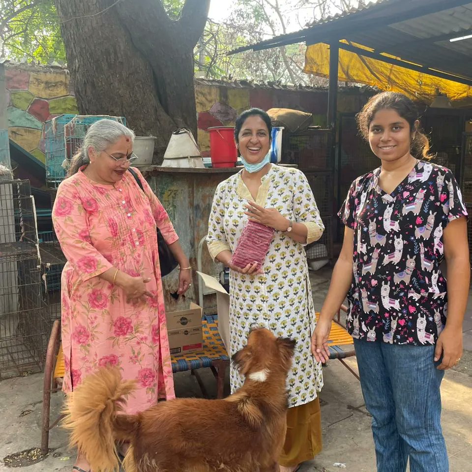 rcctowers's tweet photo. #RotaryClubOfChennaiTowers made a Generous donation of dog and cat food, accessories, and an electric warmer blanket for recovering dogs to support abandoned dogs at BEMAD.

@satishjupiter

 #RCCTDonationDrive #SupportingAnimalWellbeing  #HelpingAbandonedDogs https://t.co/puDuTYy5Di
