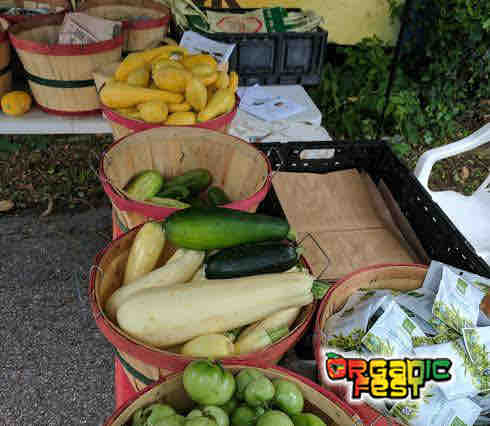 HABESHAINC's tweet photo. The 19th Annual Organic Fest will be epic!  

Join us for food, family, farming, and fun on June 24th from 12-8PM.

More info: https://t.co/6AQ6ELEp9Q

#habeshainc 
#organicfest19 https://t.co/Ttc3ok4FcT