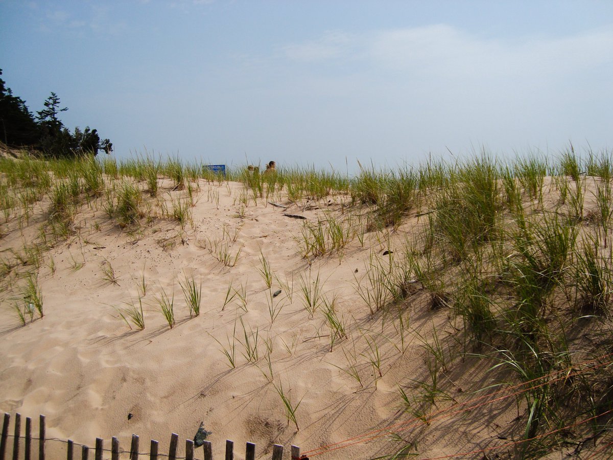 LotSixteen's tweet photo. 264 hours.   
11 days to the start of #summer on #PEI. #CountdownToSummer2023. #BasinHead https://t.co/DTtKMQkOa6