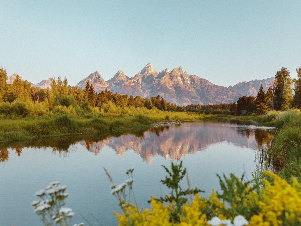 inthemeadow's tweet image. summer days in wyoming
